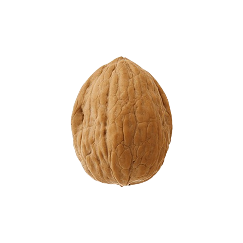 Dry Fruits is now widely available